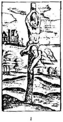 wpe5.jpg (22103 bytes)