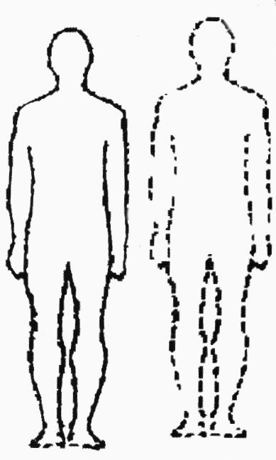 trinity1.gif (78913 bytes)